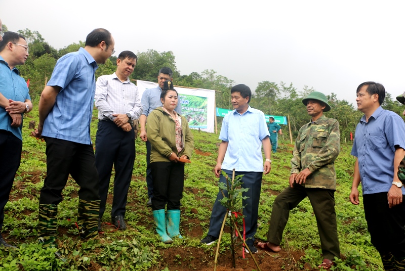 VPUB - Tuần Giáo: ra quân trồng, chăm sóc cây Mắc ca, cây Cà phê năm 2025