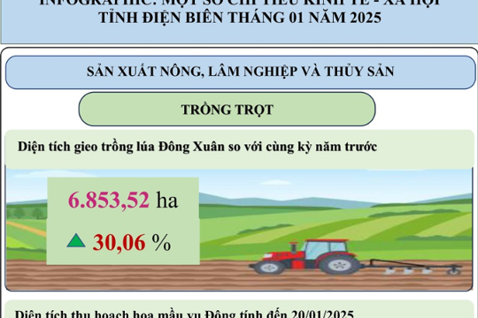 INFOGRAPHIC: KT-XH TỈNH ĐIỆN BIÊN THÁNG 01 NĂM 2025