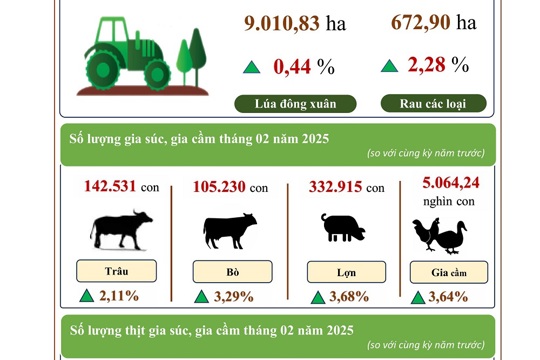 INFOGRAPHIC: KT-XH TỈNH ĐIỆN BIÊN THÁNG 02 NĂM 2025