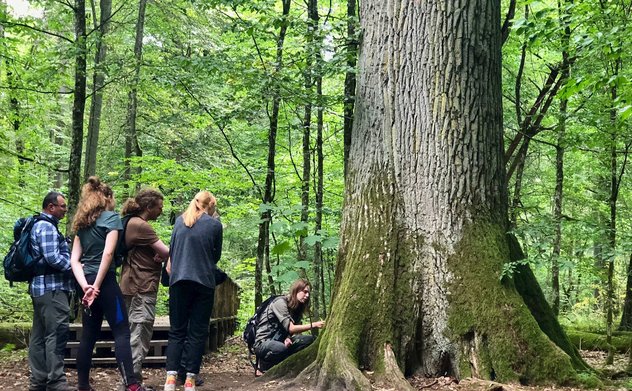 Ba Lan: Các dự án carbon - hiệu quả không như mong đợi