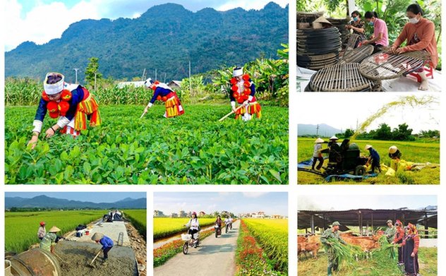 Tổng kết Chương trình Nông thôn Mới 2021–2025: Cơ sở cho phát triển bền vững tương lai