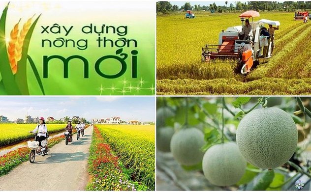 Đẩy mạnh mô hình hiệu quả, hướng tới tích hợp Chương trình nông thôn mới và giảm nghèo 2026-2035
