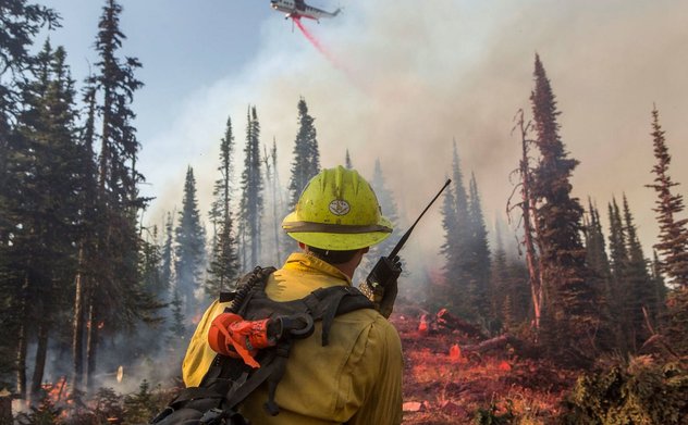 Kiểm toán nhà nước Hoa Kỳ kêu gọi nâng cao ý thức phòng, chống cháy rừng