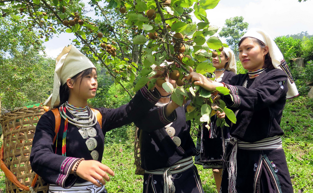 Không để ai bị bỏ lại phía sau trong phát triển vùng dân tộc thiểu số và miền núi