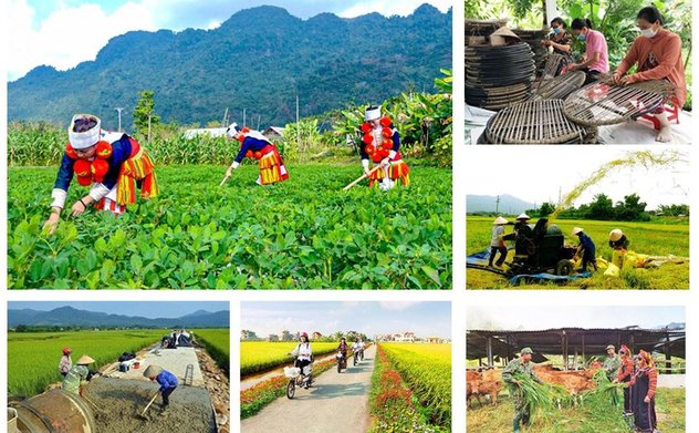 Kết quả kiểm toán năm 2024 đối với các Chương trình mục tiêu Quốc gia