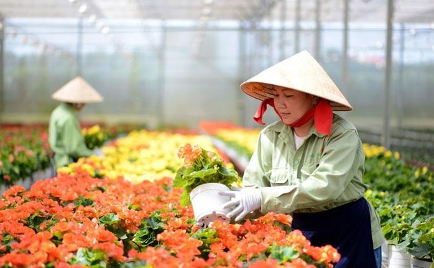 Cần nâng cao hiệu quả hoạt động của các quỹ tài chính nhà nước ngoài ngân sách