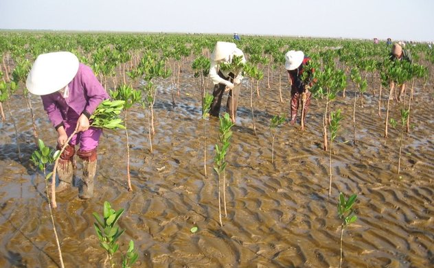 Kiến nghị xử lý hàng chục tỷ đồng đối với các dự án ứng phó với biến đổi khí hậu và tăng trưởng xanh