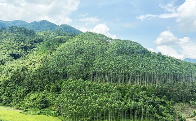 Cơ chế chính sách quản lý, sử dụng tiền dịch vụ môi trường rừng chưa hoàn thiện